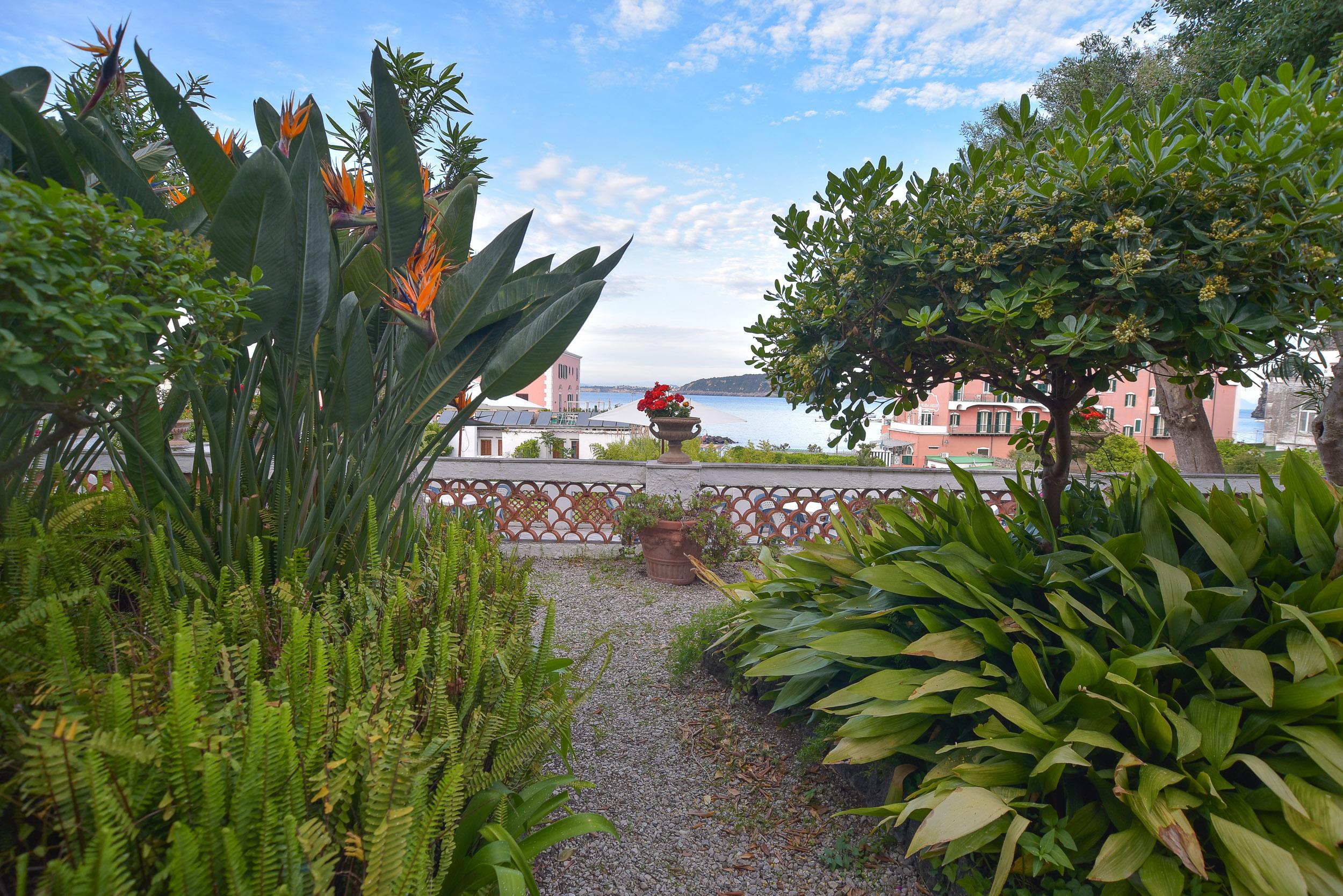 Villa Panoramica - Ischia Ponte Extérieur photo