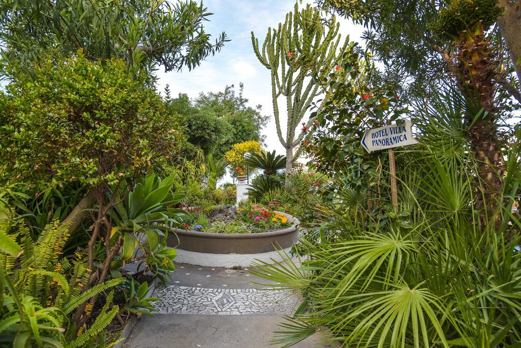 Villa Panoramica - Ischia Ponte Extérieur photo