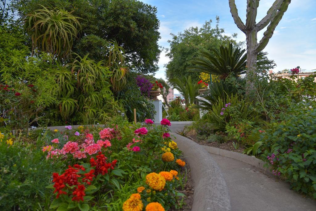 Villa Panoramica - Ischia Ponte Extérieur photo