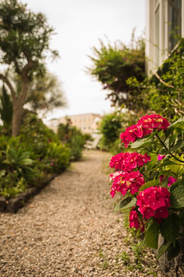 Villa Panoramica - Ischia Ponte Extérieur photo